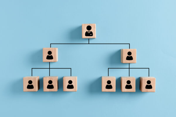 Nonprofit Organizational Chart: How to Build Your Organizational Structure