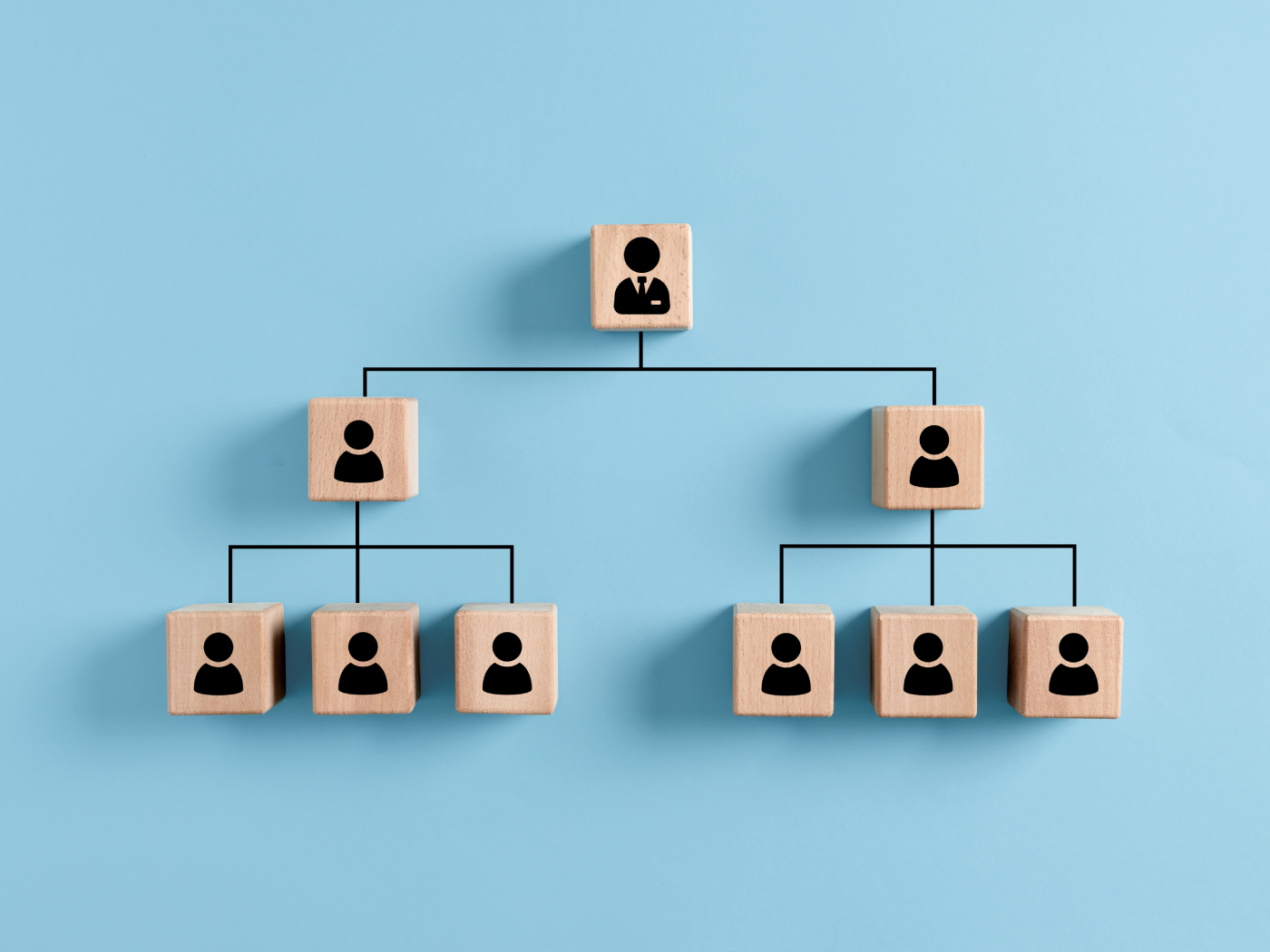 Nonprofit Organizational Chart: How to Build Your Organizational Structure