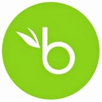 The BambooHR logo.