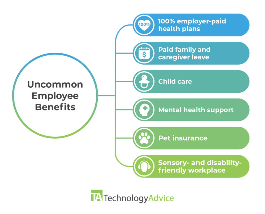 Employee Benefits Guide Types of Benefits to Offer in 2024