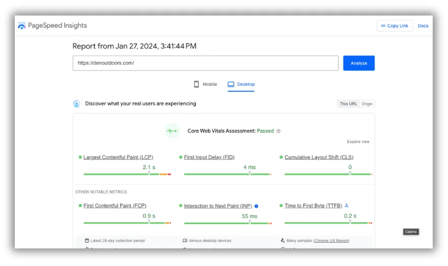 pagespeed insights for den