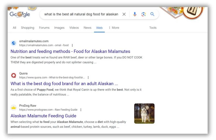 google search results for dog food search