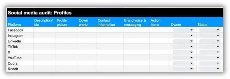 Social media audit - table of social platform profiles.