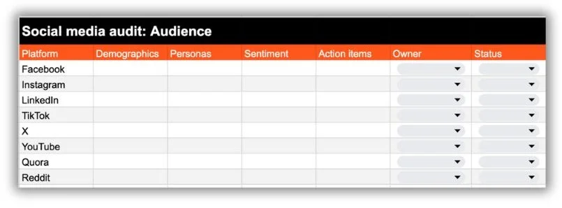 Social media audit - Table of audience demographics.