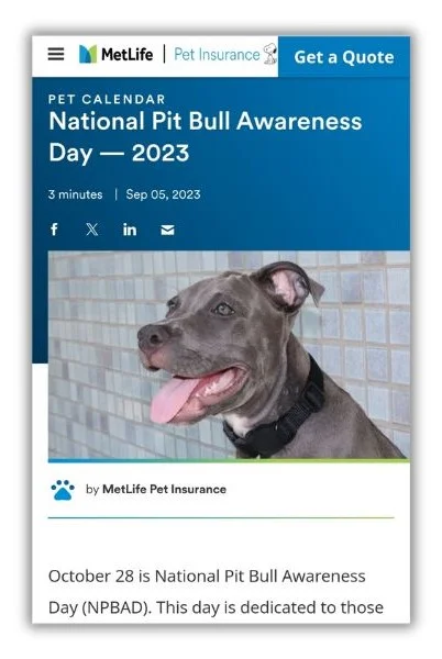 October content ideas - Pitbull awareness blog post.