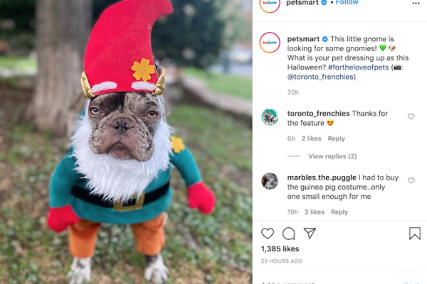 78 Spellbinding Halloween Instagram Captions for Any Business | WordStream