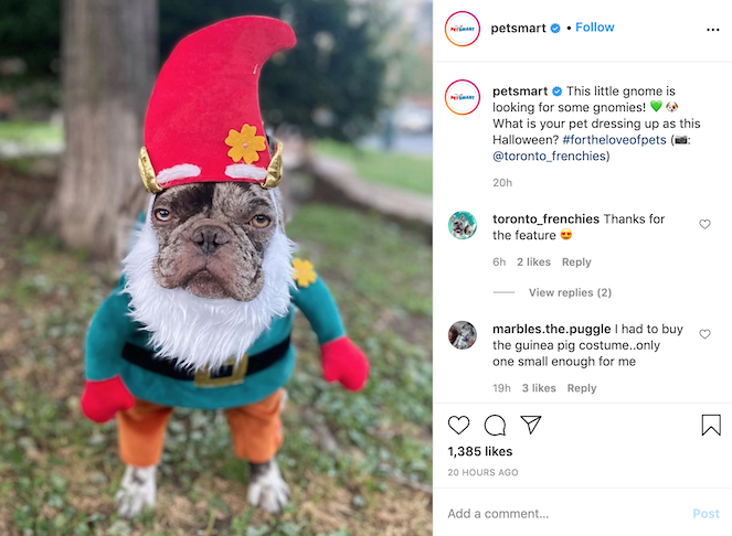 78 Spellbinding Halloween Instagram Captions for Any Business | WordStream