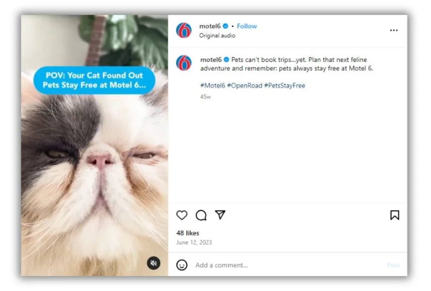 Bandwagon advertising - Social post promoting Motel6 free pet policy.