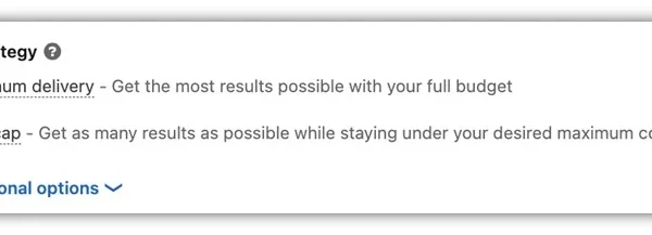 The Complete Guide to LinkedIn Ads Bidding Strategies | WordStream