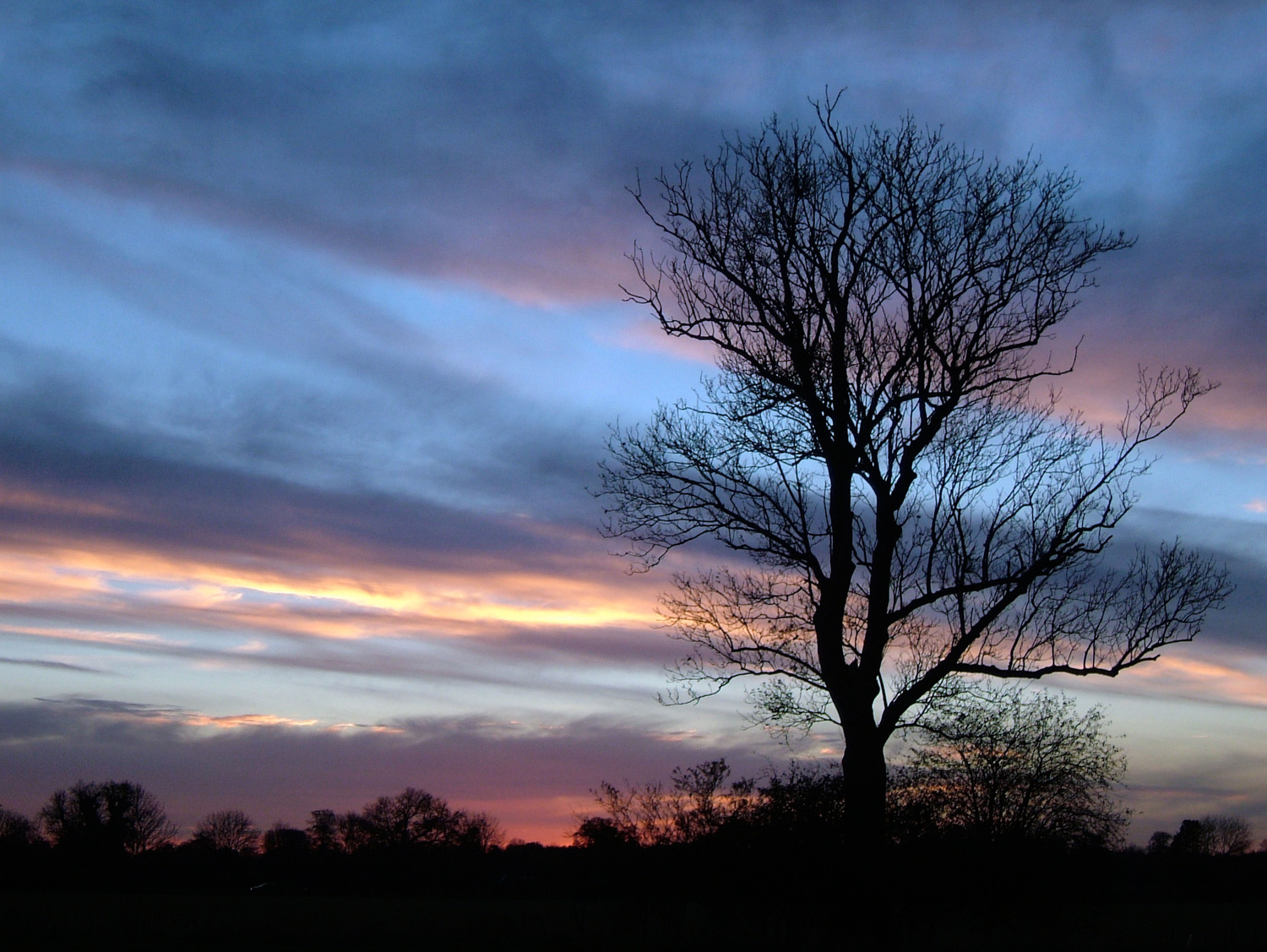 Color in photography