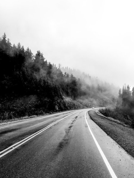 road stretching off into fog