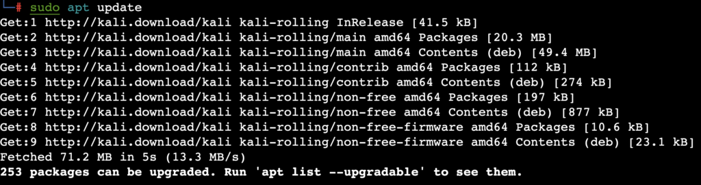 The sudo apt update command's output in the terminal