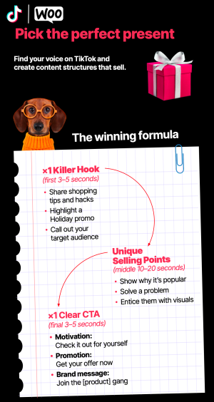 Sleigh your holiday sales: A guide to TikTok for WooCommerce 