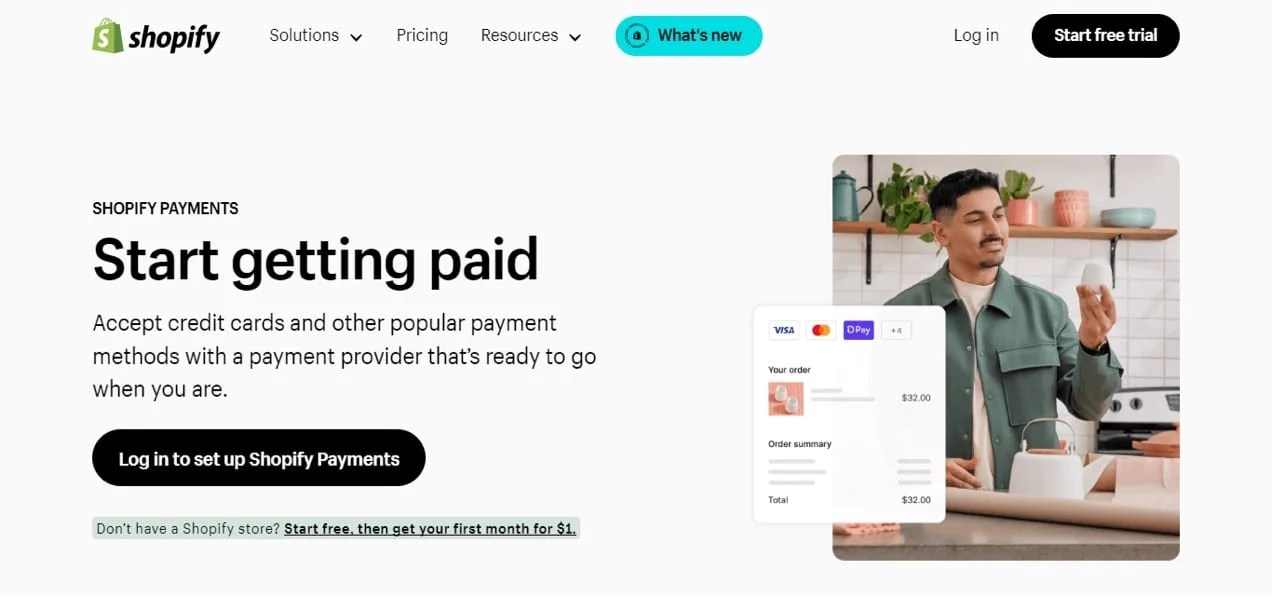 Shopify Payments page