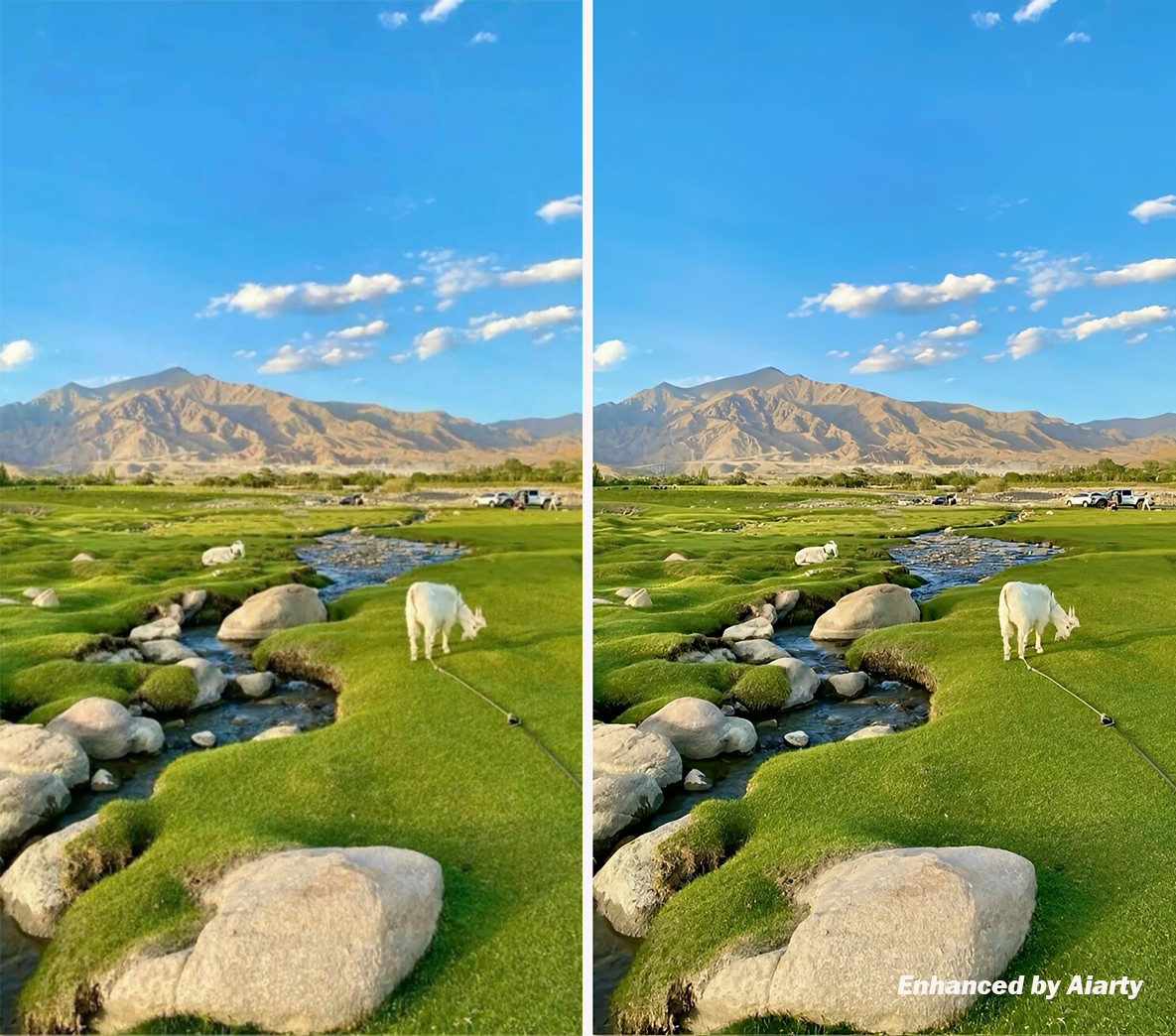 Aiarty before and after enhanced image of a goat by a stream