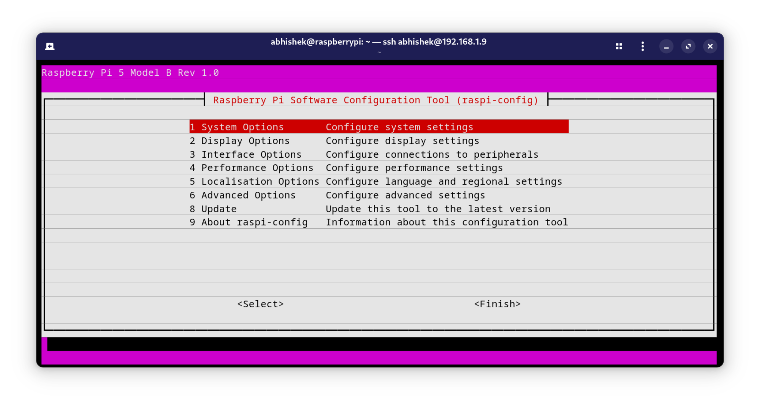 raspi-config menu in Ubuntu