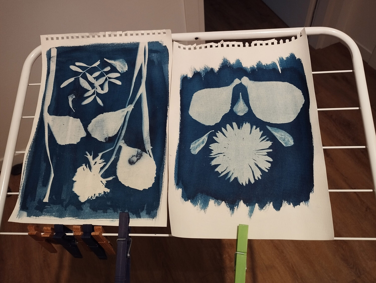 Cyanotype photography