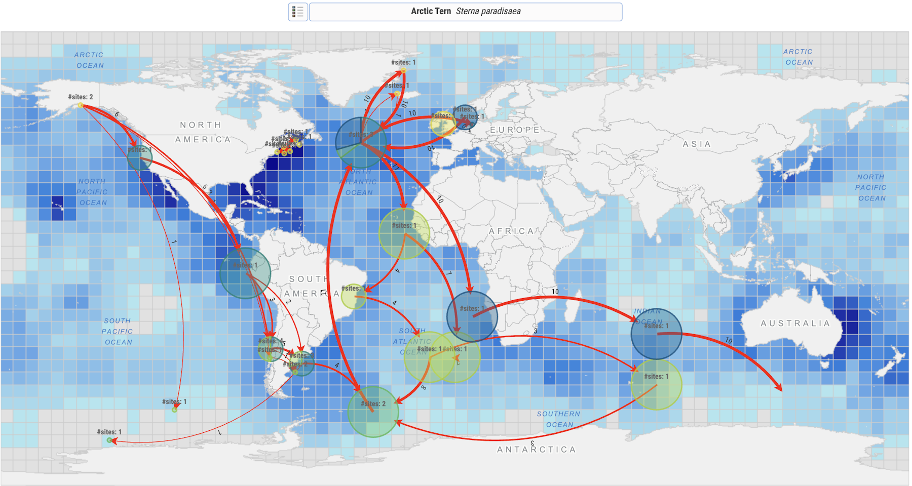 Hidden connections of more than 100 migratory marine species revealed ...