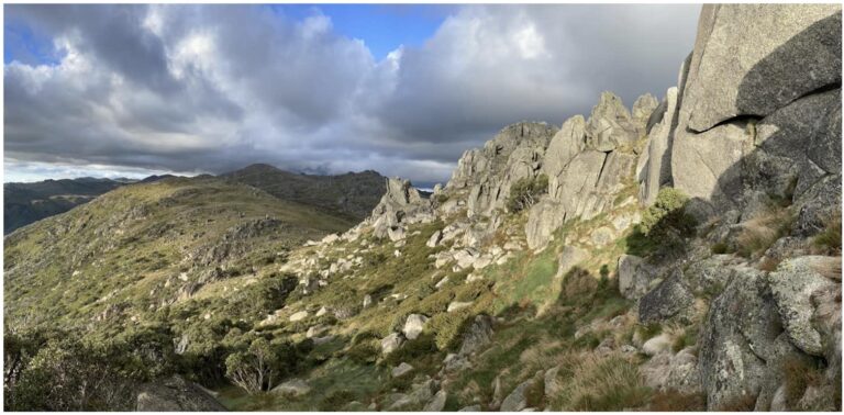 Migrating bogong moths use the stars and Earth’s magnetic field to find ancestral summer caves each year
