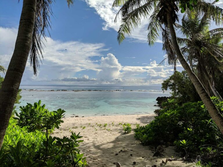 Remote cave discovery shows ancient voyagers brought rice across 2,300km of Pacific Ocean