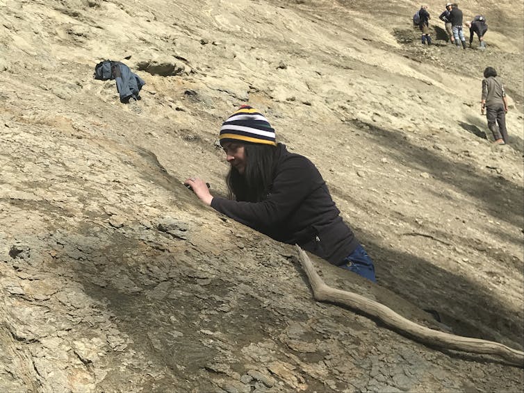 One of the authors, Vanesa De Pietri, working the soil surface looking for fossils.