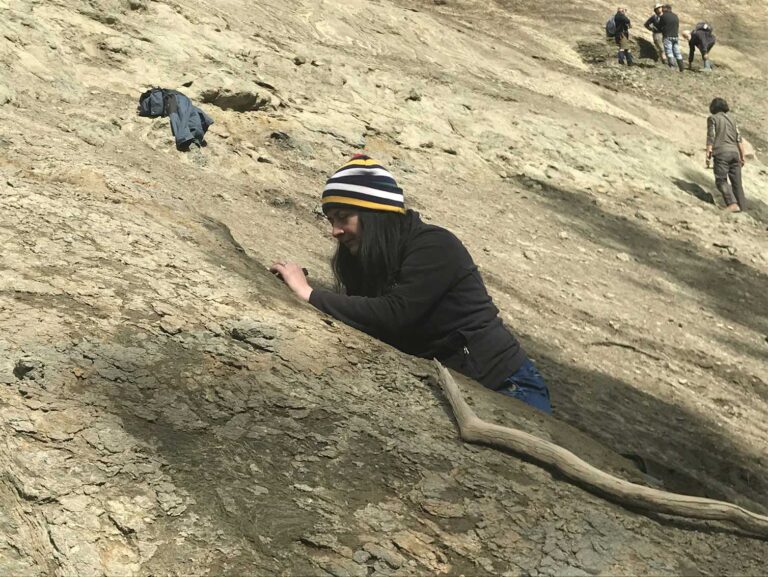 Dagger beaks and strong wings: new fossils rewrite the penguin story and affirm NZ as a cradle of their evolution