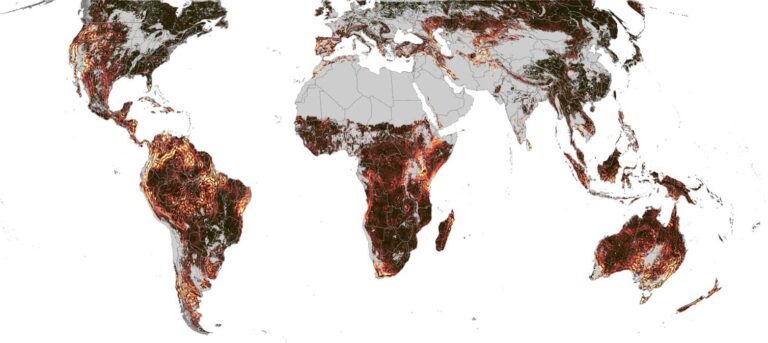 See Earth’s seasons in all their complexity in a new animated map