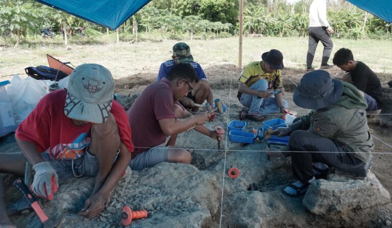 This stone tool is over 1 million years old. How did its maker get to Sulawesi without a boat?
