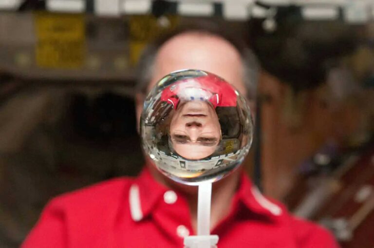 Why grow plants in space? They can improve how we produce food and medicine on Earth