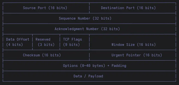 TCP header payload