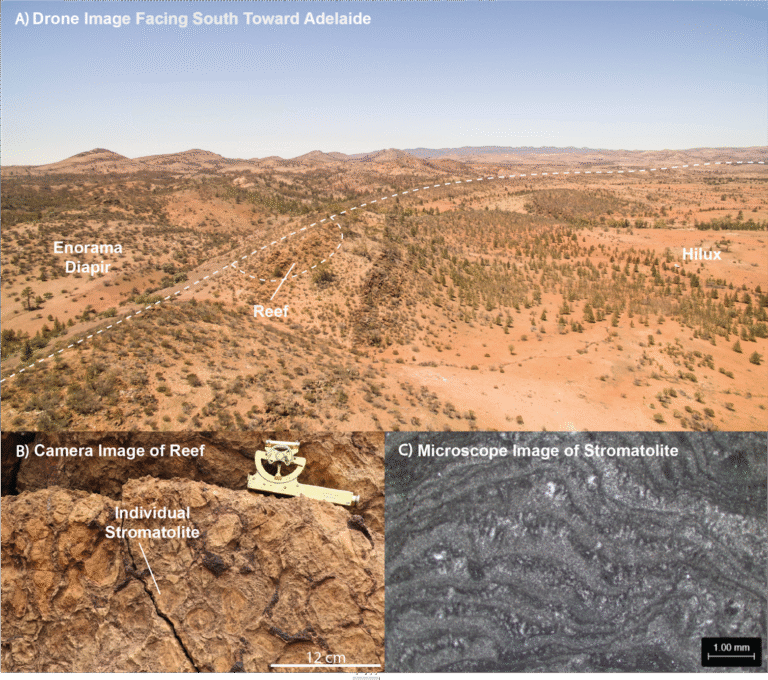 Ancient ‘salt mountains’ in southern Australia once created refuges for early life