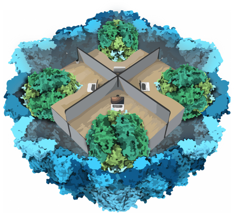 Engineering crops to photosynthesise better just got one step closer to reality