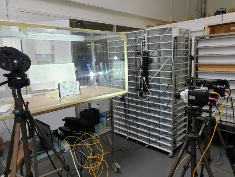 High-tech cameras capture the secrets of venomous snake bites