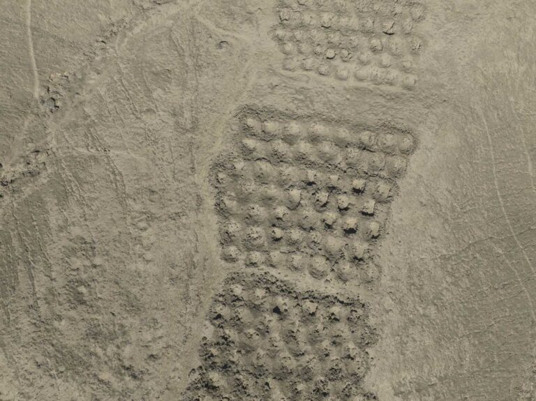 A centuries-old grid of holes in the Andes may have been a ‘spreadsheet’ for accounting and exchange