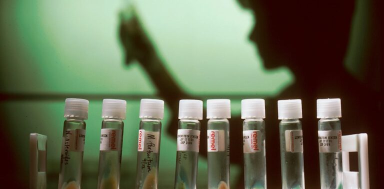 Should Australia establish an independent body to investigate scientific misconduct? We asked 5 experts