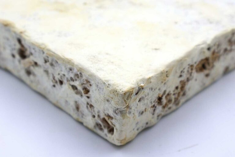 We think of mushrooms as food. But mycelium-based blocks could be the future of construction