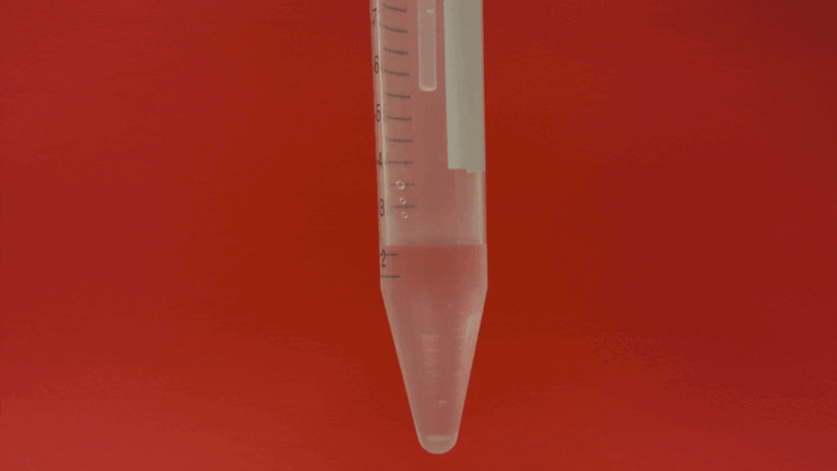 What’s the difference between deodorant and antiperspirant? Quite significant, actually