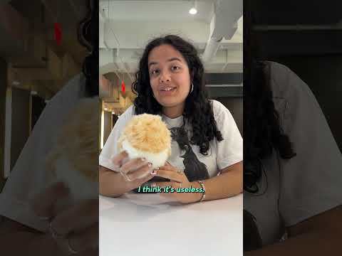 Would you ever buy an AI pet?