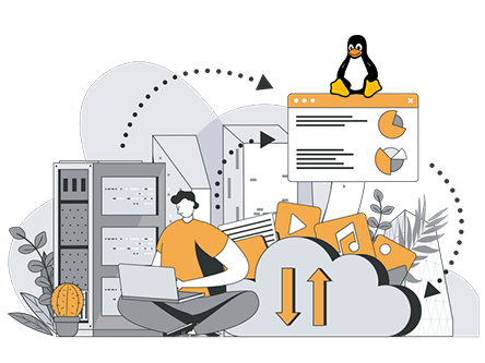 What are Linux Distros for Hosting?