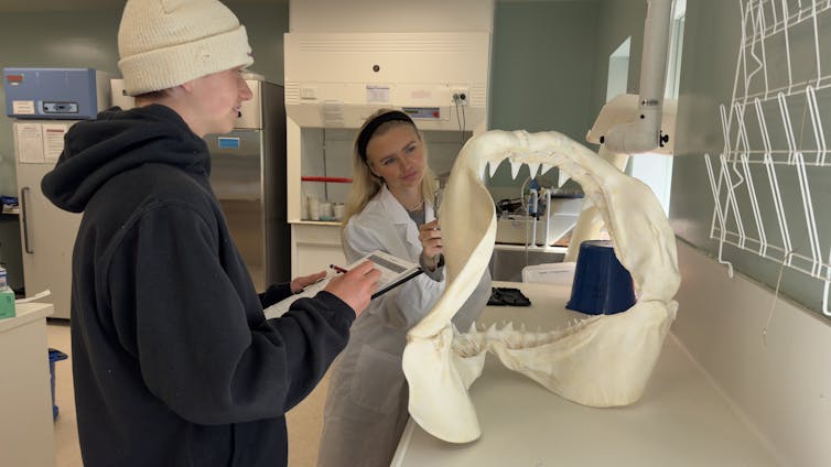Two people measuring a large jaw in a scientific lab.