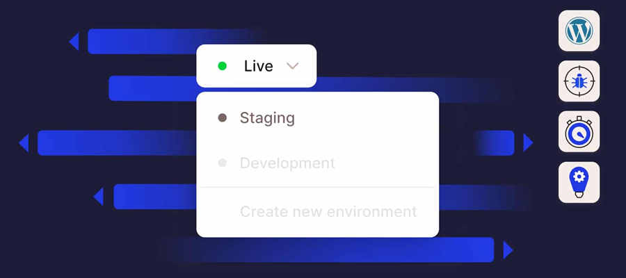 Kinsta Staging Tools