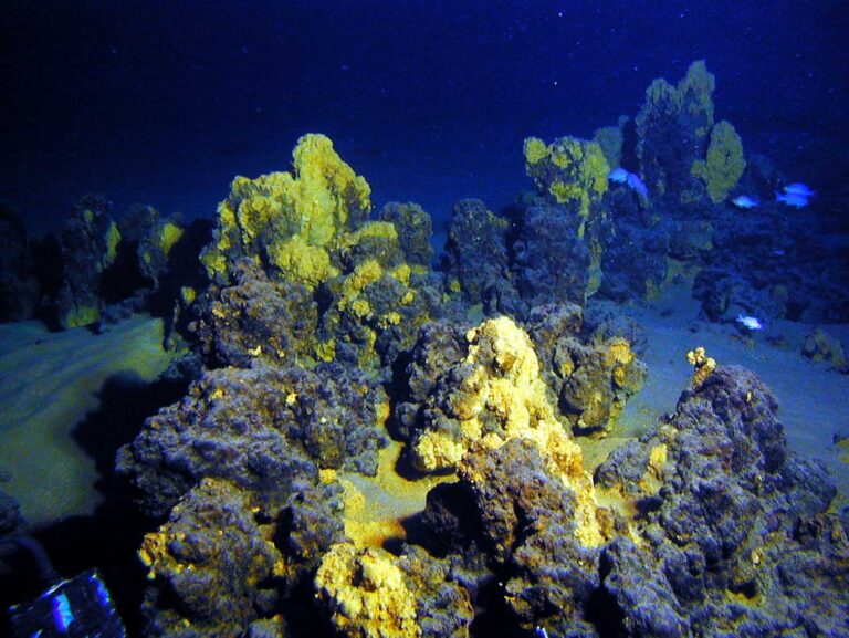 Submarine mountains and long-distance waves stir the deepest parts of the ocean